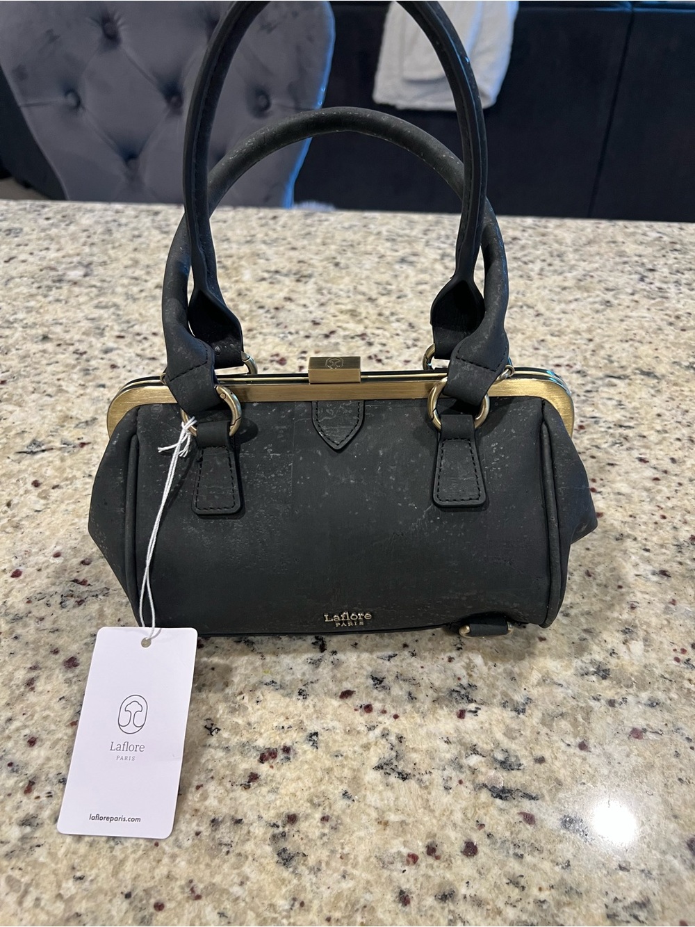 Laflore Paris Black Mini Frame Satchel